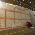 Obat Fumigasi yang Cepat Membasmi Hama Kutu dalam 24 Jam