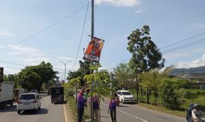 Pemkot Palopo Tertibkan 471 Lembar APK, Banner FKJ-Nur Terbanyak Dicopot