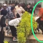 Viral Staf Rektor IAIN Palopo Diduga Injak Mahasiswa Saat Ricuh Pemilihan Dema FTIK