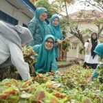 Realisasi Program Pemanfaatan Pekarangan, Ketua TP-PKK Luwu Panen Perdana Sayur Bayam