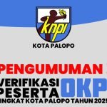 KNPI Palopo Verifikasi OKP Peserta Musda
