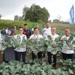 Menko Pangan RI Tinjau Program Ketahanan Pangan PNM di Jawa Tengah