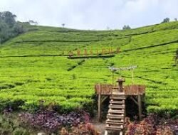 Tren Traveling Lokal Membantu Ekonomi Desa dan Komunitas